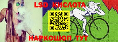 прущие крисы Новозыбков