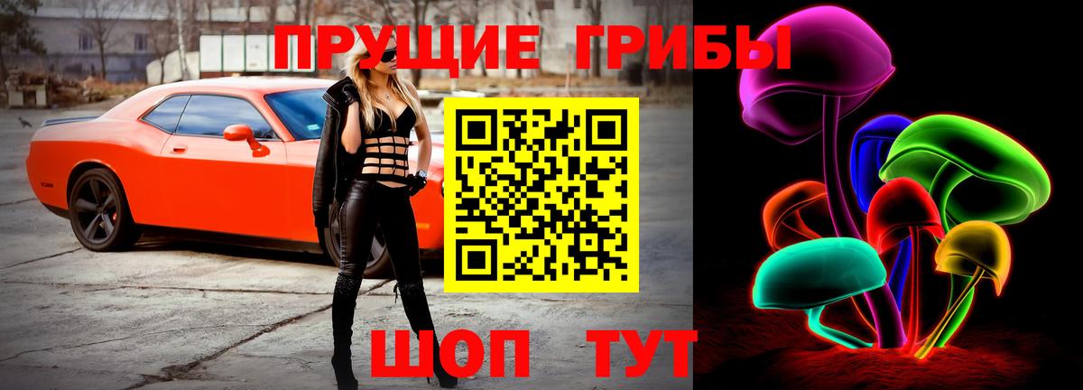 где найти наркотики  Галлюциногенные грибы GOLDEN TEACHER  Вход с VPN  Галлюциногенные грибы Psilocybine cubensis  Сыктывкар 
