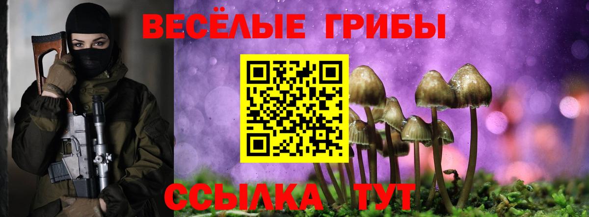 Псилоцибиновые грибы прущие грибы Сыктывкар